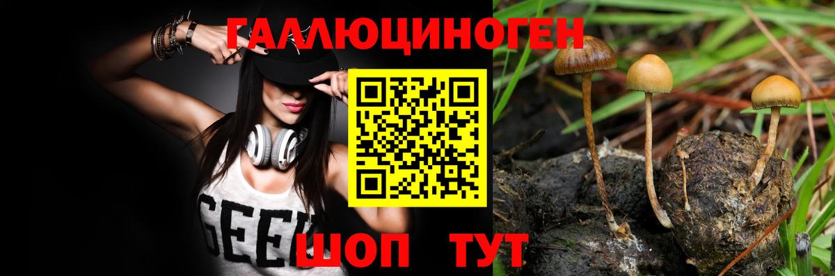 Галлюциногенные грибы Cubensis Тихорецк